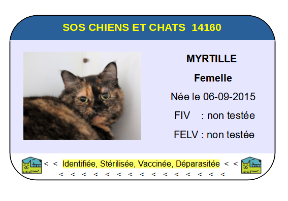 Ci myrtille 1
