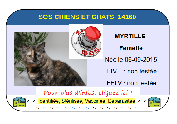 Ci myrtille sos 2