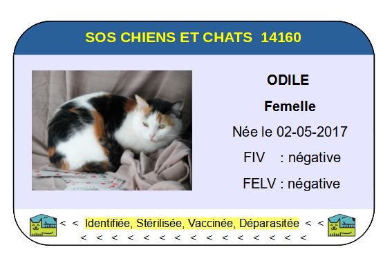 Ci odile 2