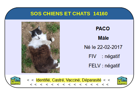 Ci paco 1