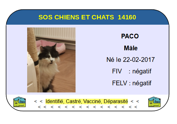 Ci paco 2