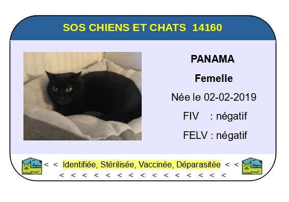 Ci panama 1