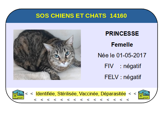 Ci princesse 2