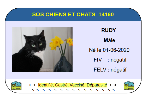 Ci rudy