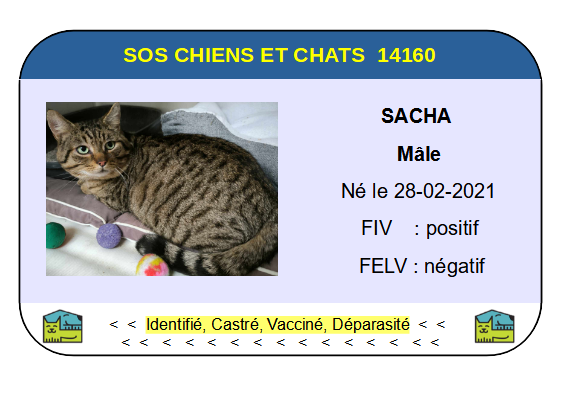Ci sacha