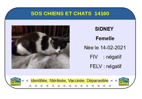 Ci sidney
