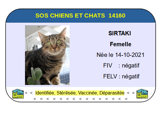 Ci sirtaki 1 3