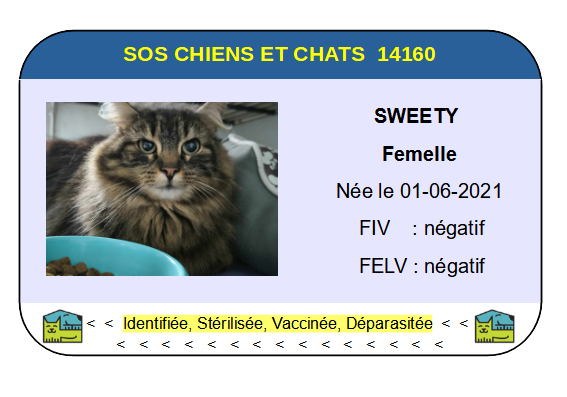 Ci sweety 1