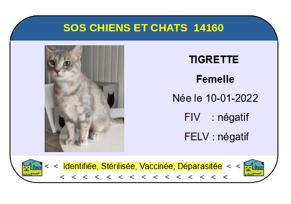 Ci tigrette