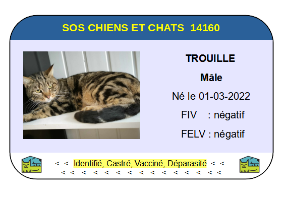 Ci trouille
