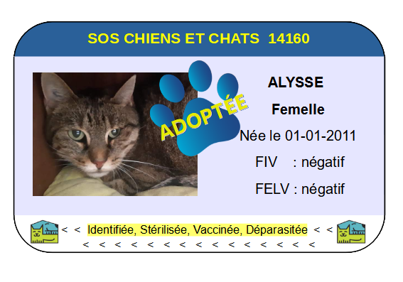 Cia alysse