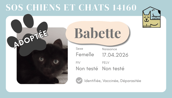 Cia babette