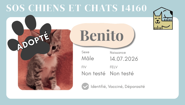 Cia benito