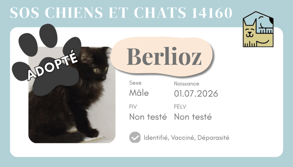 Cia berlioz