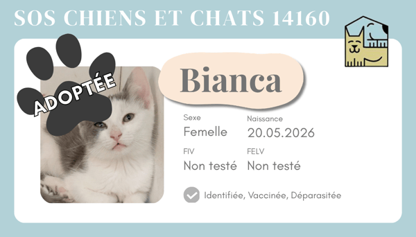 Cia bianca