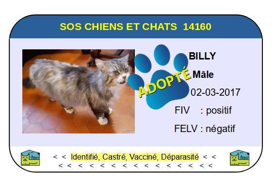 Cia billy