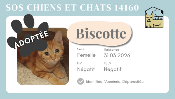 Cia biscotte