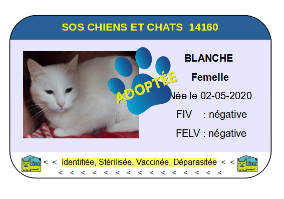 Cia blanche