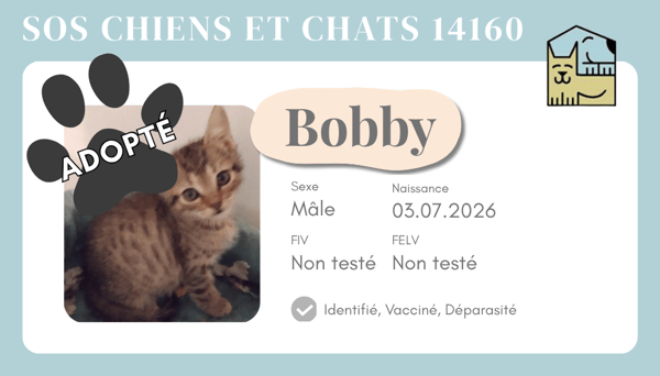 Cia bobby