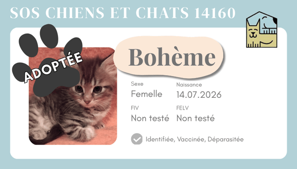 Cia boheme 1