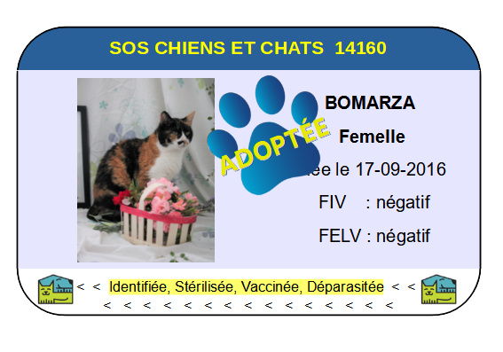 Cia bomarza