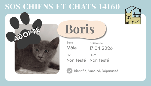Cia boris