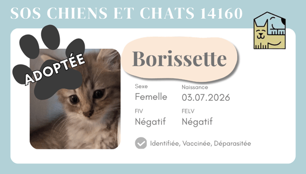 Cia borissette
