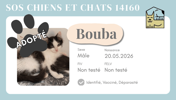 Cia bouba 2