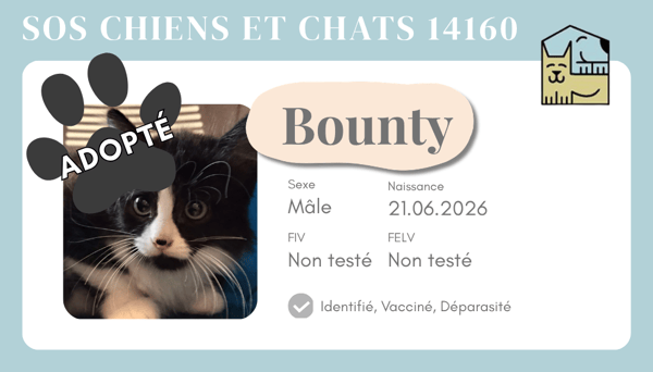 Cia bounty