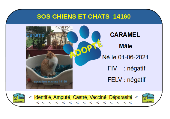 Cia caramel