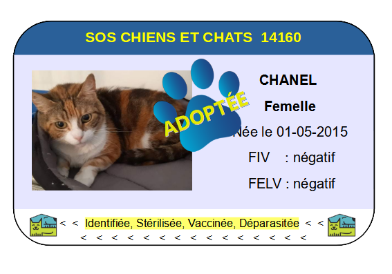 Cia chanel png