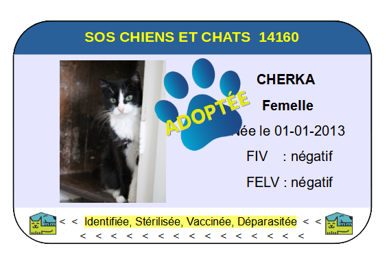 Cia cherka