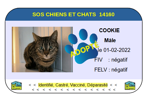 Cia cookie 1