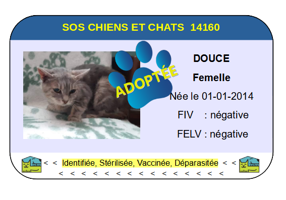Cia douce