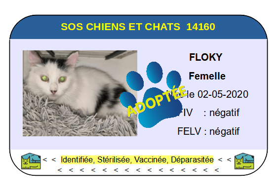 Cia floky 1