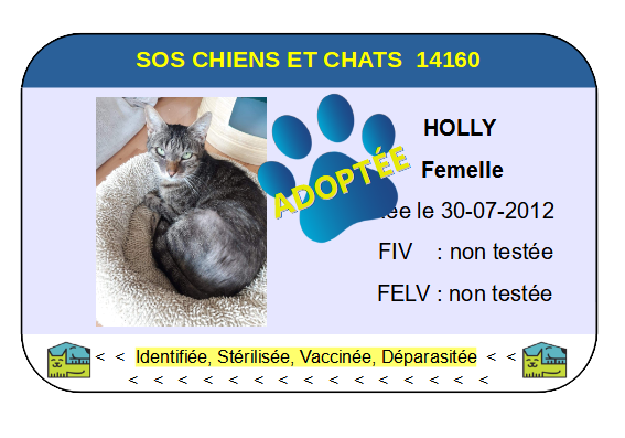 Cia holly