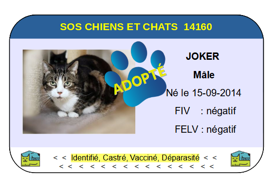Cia joker