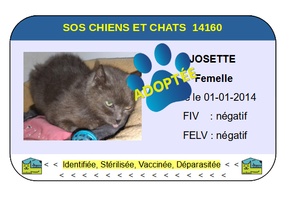 Cia josette png