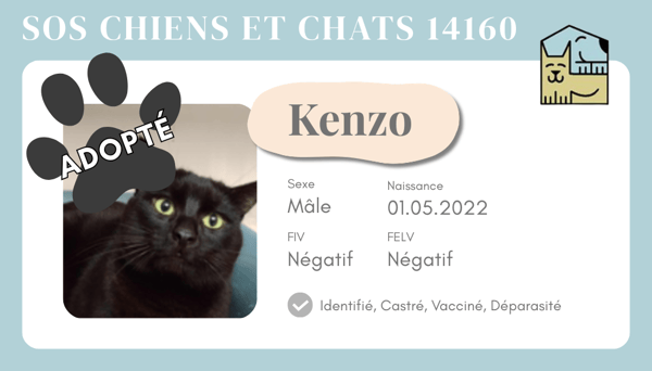 Cia kenzo 1