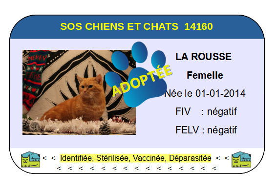 Cia la rousse png