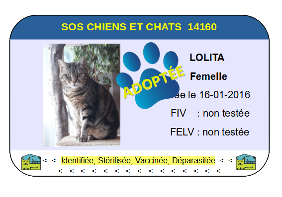 Cia lolita