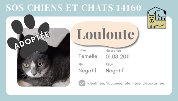 Cia louloute