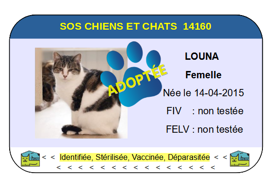 Cia louna