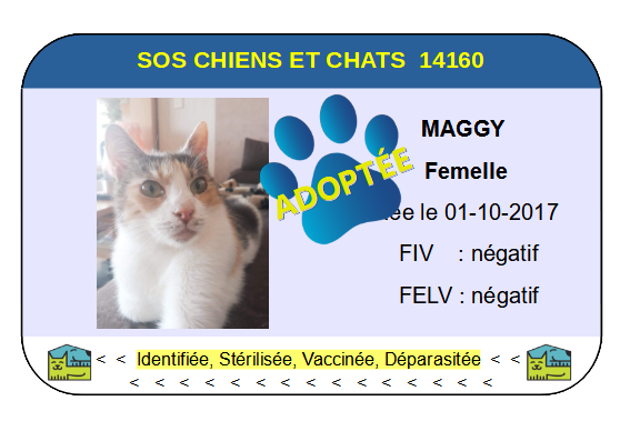 Cia maggy