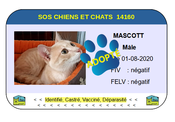 Cia mascott