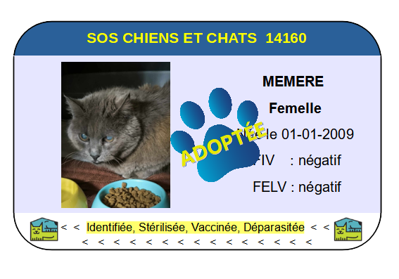 Cia memere