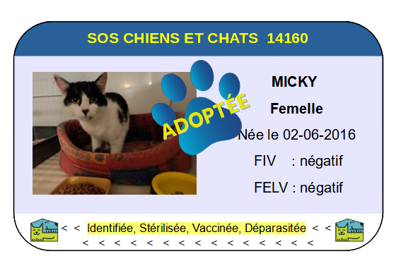 Cia micky 1