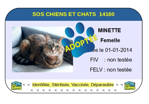 Cia minette