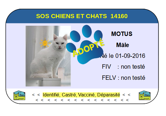 Cia motus