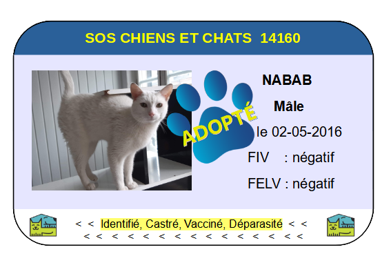 Cia nabab